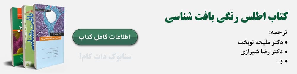بافت شناسی جان کوئیرا