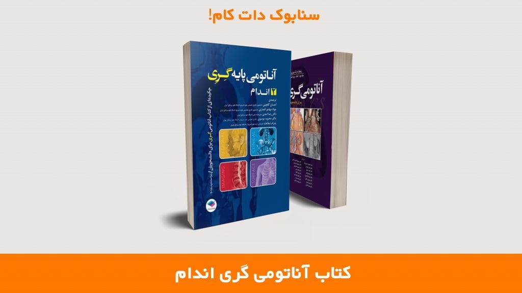 کتاب آناتومی گری اندام جلد دوم: نقد و بررسی