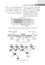 کتاب مفاهیم هورمون شناسی پایه و بالینی - Image 3