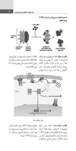 کتاب مفاهیم هورمون شناسی پایه و بالینی - Image 4